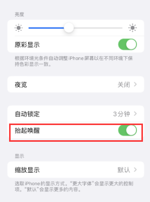 湘潭苹果授权维修站分享iPhone轻点无法唤醒怎么办