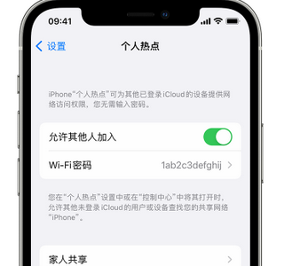 湘潭apple服务站点分享iPhone上个人热点丢失了怎么办 