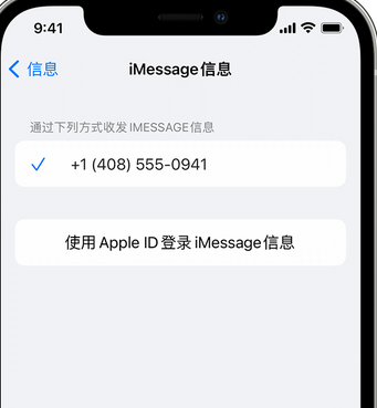 湘潭apple维修iPhone上无法正常发送iMessage信息 