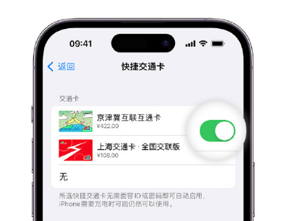 湘潭apple维修点分享iPhone上更换Apple Pay快捷交通卡手绘卡面 