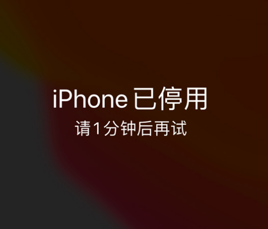 湘潭苹果手机维修分享:iPhone 显示“不可用”或“已停用”怎么办？还能保留数据吗？ 