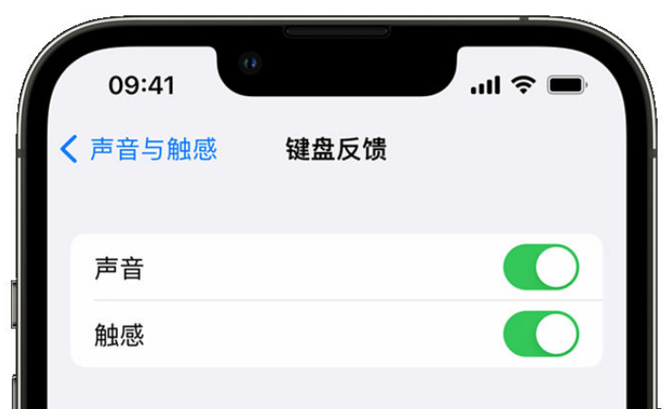 湘潭苹果手机维修分享iPhone 14触感键盘使用方法 