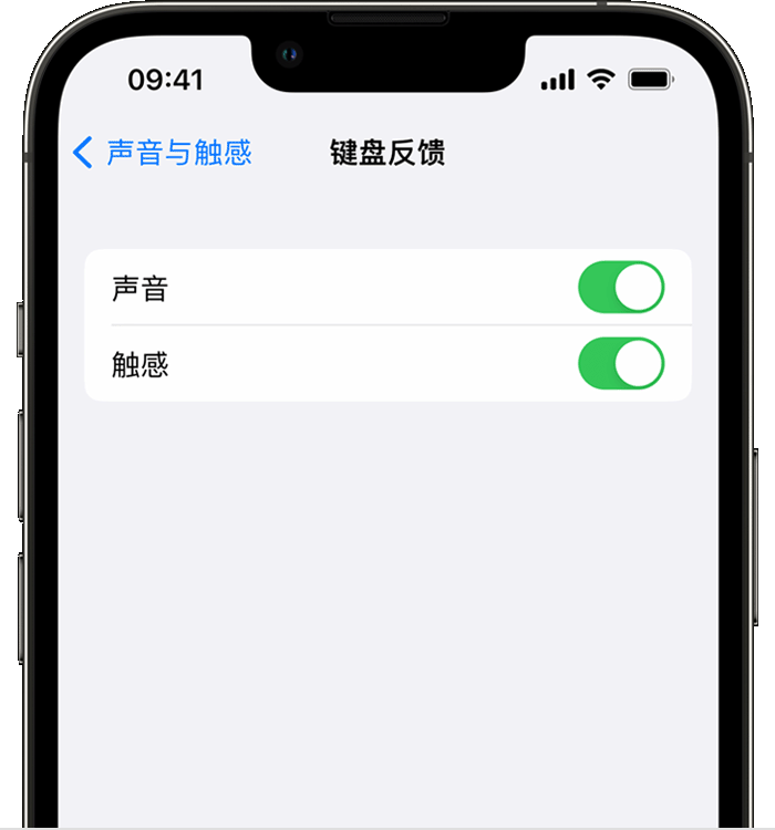 湘潭苹果14维修店分享如何在 iPhone 14 机型中使用触感键盘 