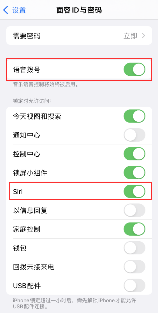 湘潭苹果维修网点分享不解锁 iPhone 的情况下通过 Siri 拨打电话的方法 