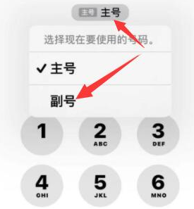 湘潭苹果14维修店分享iPhone 14 Pro Max使用副卡打电话的方法 