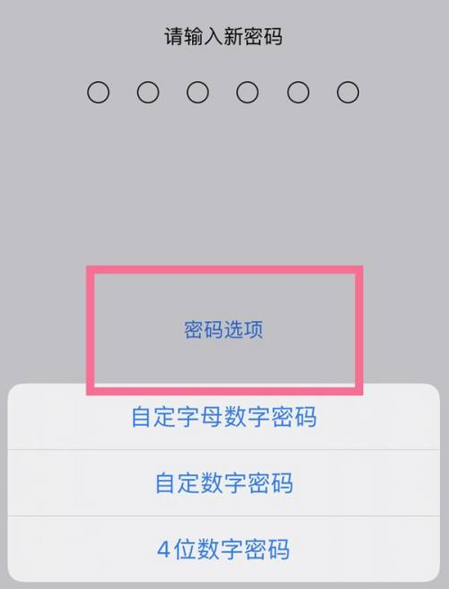 湘潭苹果14维修分享iPhone 14plus设置密码的方法 