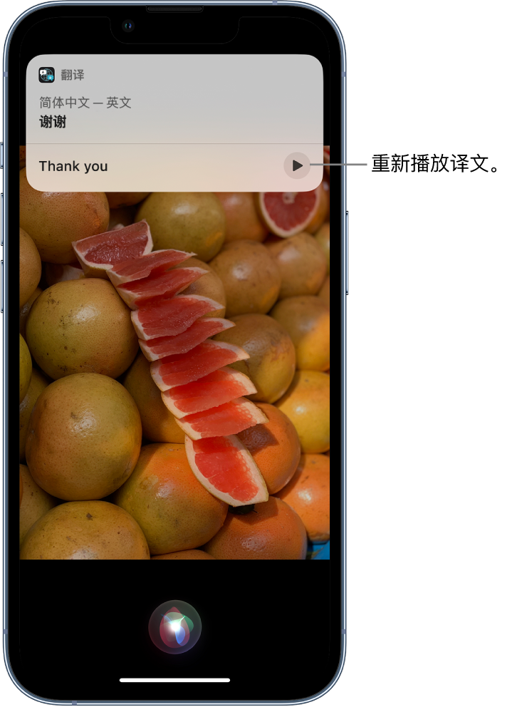 湘潭苹果14维修分享 iPhone 14 机型中使用 Siri：了解 Siri 能帮你做什么 