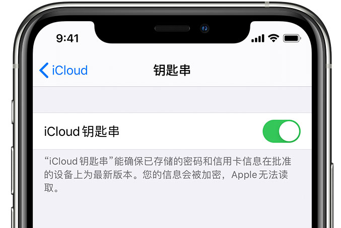 湘潭苹果手机维修分享在 iPhone 上开启 iCloud 钥匙串之后会储存哪些信息 
