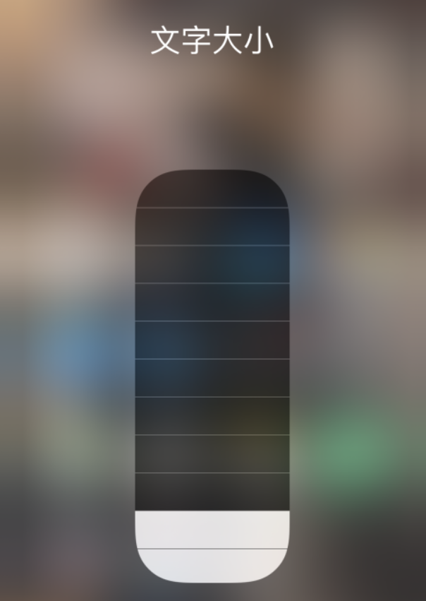 湘潭苹果手机维修分享小技巧：在 iPhone 控制中心快速调节字体大小 