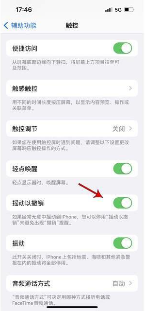 湘潭苹果手机维修分享iPhone手机如何设置摇一摇删除文字 