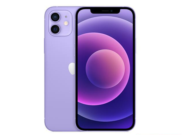 湘潭苹果手机维修分享现阶段要不要入手紫色版iPhone12 