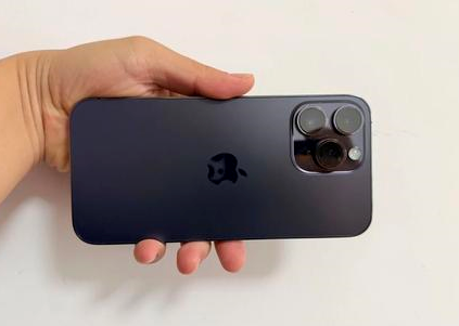 湘潭苹果维修点分享iPhone 14 Pro Max黑屏少见故障盘点 